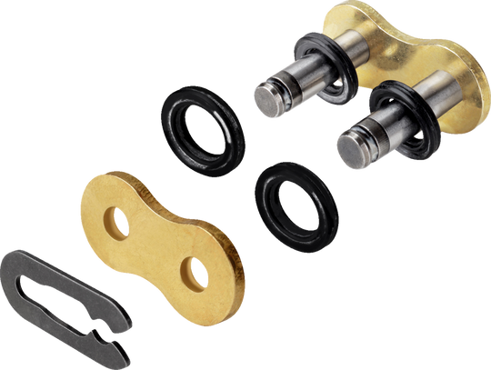 Regina Chain 525 ZRE Chip