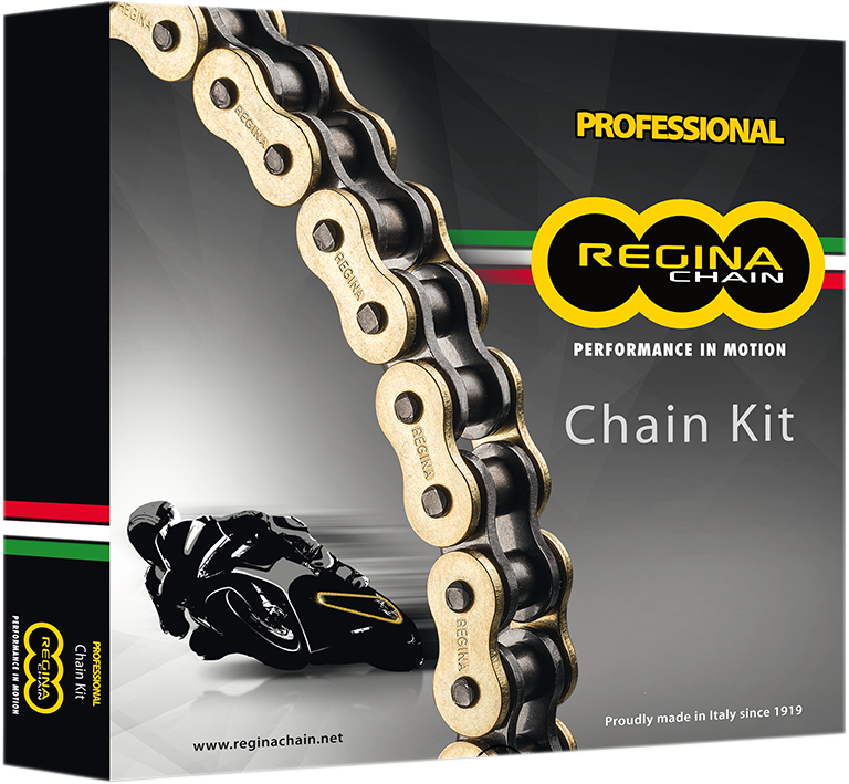 Regina Chain Sprocket Kit DL650