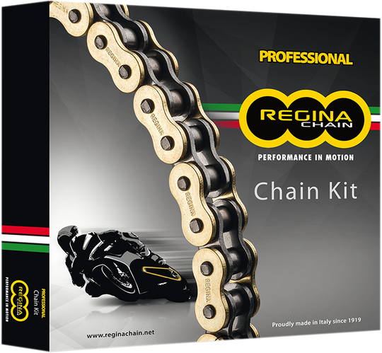 Regina Chain Sprocket Kit DL650 W/ABS