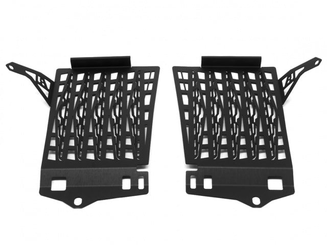 Protection de radiateur AltRider pour BMW R 1200 GS & R 1250 GS refroidis à l'eau (2017-actuel)