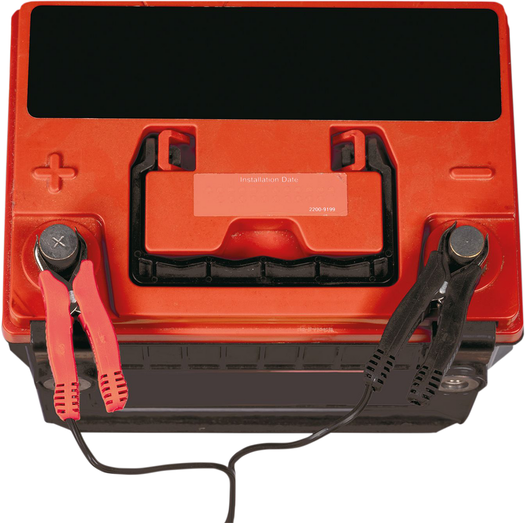 Câble Tecmate Optimate SAE/Clips (O-04)