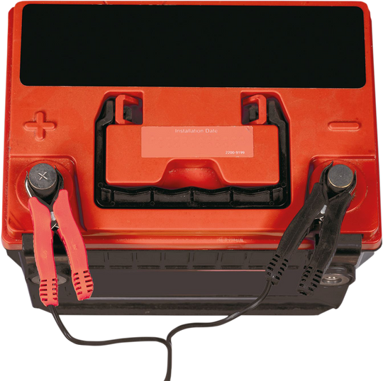 Câble Tecmate Optimate SAE/Clips (O-04)